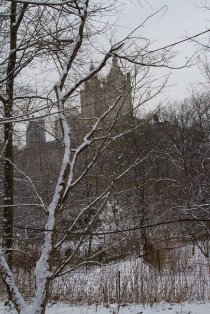 img_5524