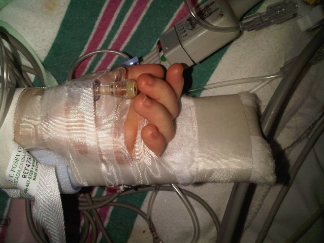 img00115-20100115-1734