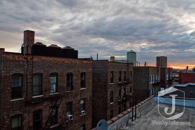 img_3784-2webwatermarked img_3784-2webwatermarked