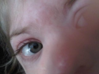img00223-20100327-1349