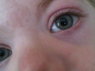 img00224-20100327-1350
