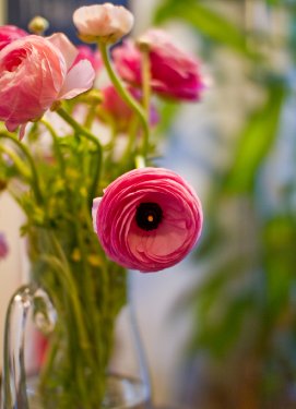 img_4443web