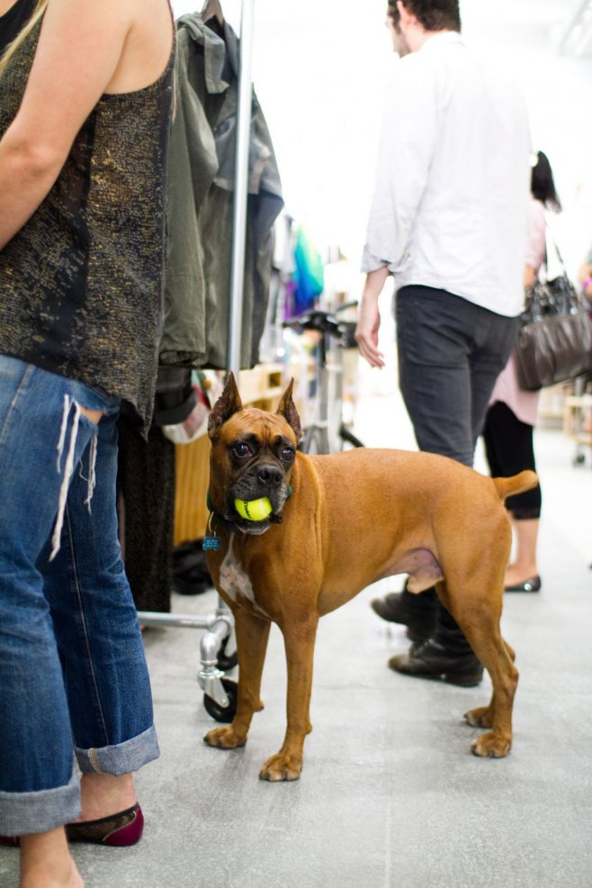 capsulenyc-2010-shotbyjake-com-7071