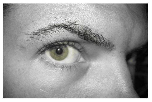 eyeback.jpg