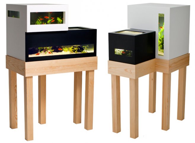 archiquarium1