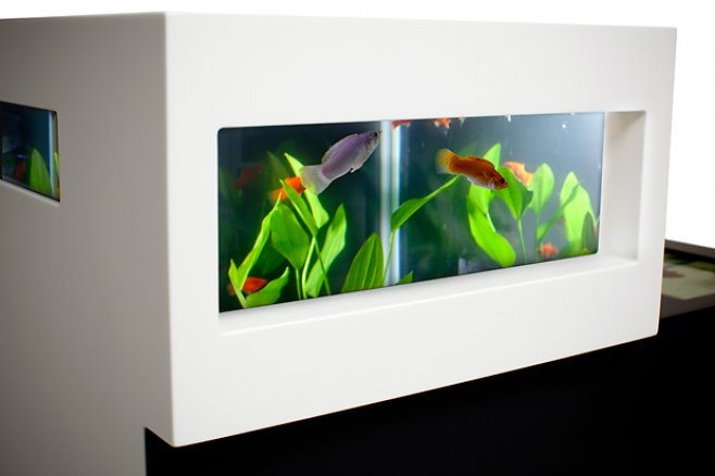 archiquarium2