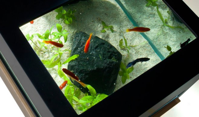 archiquarium3