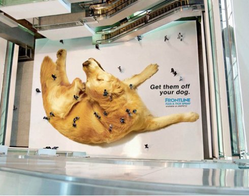 flea-ad.jpg