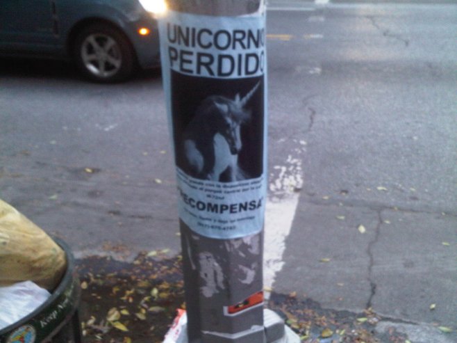 unicorno
