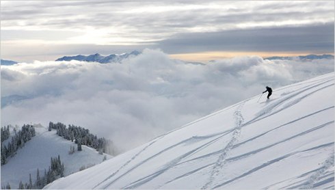 20powder-600.jpg