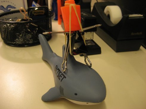 riding-shark.jpg