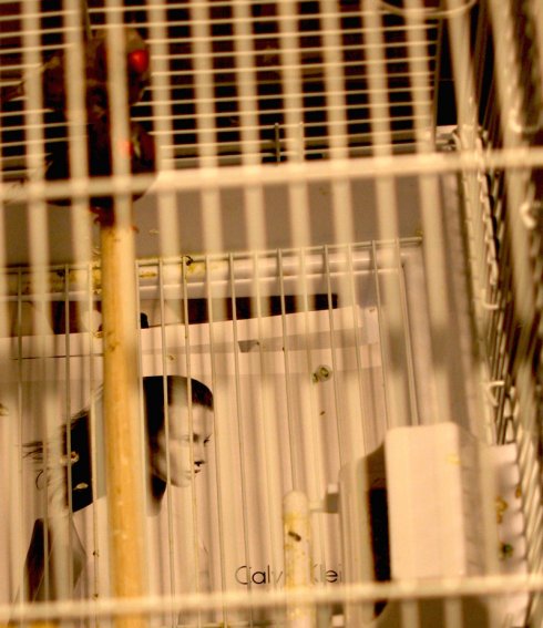 wmag_0.jpg
