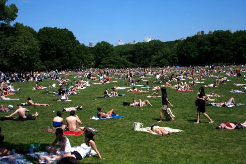 cpgreatlawn.jpg